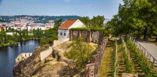 PRAŽSKÉ VINICE 2019 Objevte kouzlo vinohradů a vín v srdci metropole