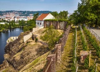 PRAŽSKÉ VINICE 2019 Objevte kouzlo vinohradů a vín v srdci metropole