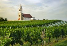 CARNUNTUM DAC: Rakousko má čtrnáctý vinařský region s ochrannou známkou původu