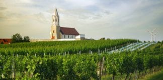 CARNUNTUM DAC: Rakousko má čtrnáctý vinařský region s ochrannou známkou původu