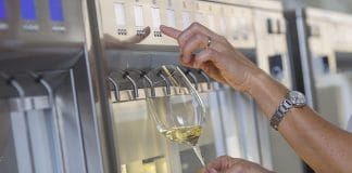 Ze 120 výčepů ve znojemském pivovaru teče víno!