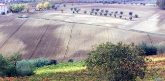 Montefalco Sagratino DOCG. Podzimní výlet za skrytou perlou Umbrie