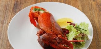 Čas na krevety, kraby i humra. Zima v Hergetově Cihelně má vůni moře