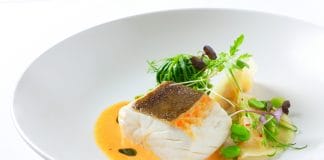 Polární treska se vrací