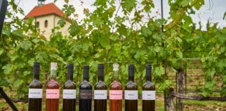 BOBULE K BOBULI. Komedie 3Bobule odstartovala cestu českými kiny. Herci a tvůrci pokřtili vína ze slavné pražské vinice