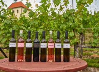 BOBULE K BOBULI. Komedie 3Bobule odstartovala cestu českými kiny. Herci a tvůrci pokřtili vína ze slavné pražské vinice