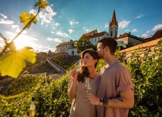 Znojemské VOC sbírá další úspěchy. Šampionem na Znojemsku je Rýňák VOC