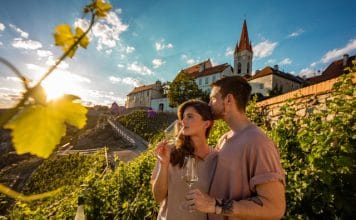 Znojmo letos slaví už od léta. 800 LET HISTORIE promítá do kulturních akcí, designu i současného života