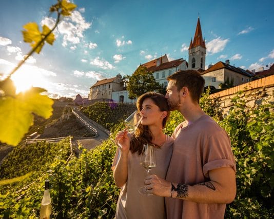 Znojmo letos slaví už od léta. 800 LET HISTORIE promítá do kulturních akcí, designu i současného života