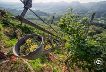 Zabublejte si! Svůj svátek slaví Prosecco