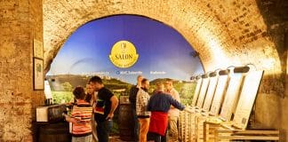 Nový Salon vín nastupuje s rekordem. Nominováno je více než 1500 vín