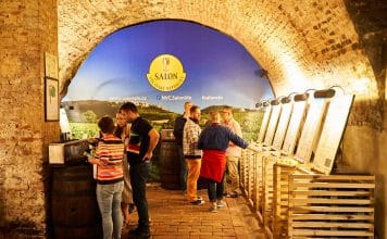 Nový Salon vín nastupuje s rekordem. Nominováno je více než 1500 vín