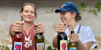 „SLOBODNÁ VÍNA“ V LONDÝNĚ