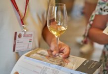 Rekordní počty ocenění pro tuzemská vína. Rok 2022 přinesl vinařům medaile i úspěchy