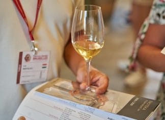 Rekordní počty ocenění pro tuzemská vína. Rok 2022 přinesl vinařům medaile i úspěchy