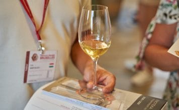 Rekordní počty ocenění pro tuzemská vína. Rok 2022 přinesl vinařům medaile i úspěchy