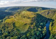 Šobes vinice VOC Znojmo jako unikát na seznam UNESCO? 