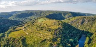 Šobes vinice VOC Znojmo jako unikát na seznam UNESCO? 