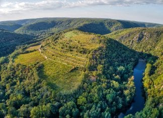 Šobes vinice VOC Znojmo jako unikát na seznam UNESCO? 