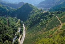 Svět pomáhá vinařům z údolí Ahr. Drtivé povodně v Německu ničily sklepy i vinice