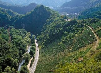 Svět pomáhá vinařům z údolí Ahr. Drtivé povodně v Německu ničily sklepy i vinice