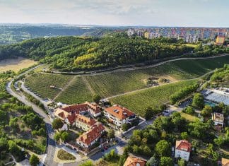 Ryzlink rýnský z Mělníka. Šampion ze Školního statku míří do finále Národní soutěže jako nejlepší víno z Čech