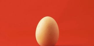 Velikonoční svátky s víny na míru. Jak si je vybrat?