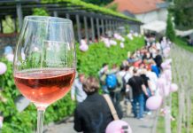 První máj v růžovém