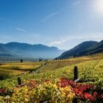Tourismusverein Kaltern_Helmuth Rier