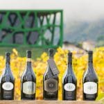 Tramin_25_building&cantina_AntieBraitoHQ