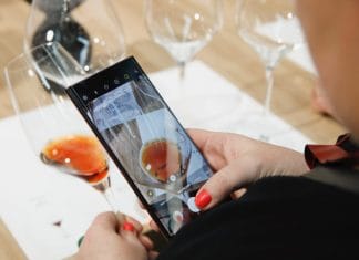 Německo se barví do červena. Rieslingu šlape na paty vycházející hvězda teplejšího klimatu – Pinot Noir