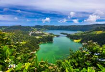 Azorské ostrovy zas o kousek „blíž“. Objevte vinice a vína uprostřed Atlantiku