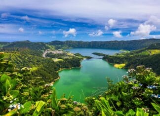 Azorské ostrovy zas o kousek „blíž“. Objevte vinice a vína uprostřed Atlantiku