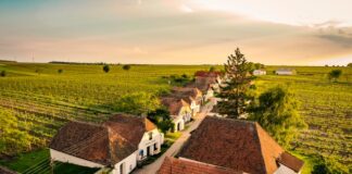 Podzim ve vinicích. Rakouský Retz nabízí největší sklepní labyrint v Evropě i kašny plné vína Sklepní ulička Zellendorf ve Weinviertelu