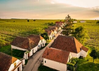 Podzim ve vinicích. Rakouský Retz nabízí největší sklepní labyrint v Evropě i kašny plné vína Sklepní ulička Zellendorf ve Weinviertelu