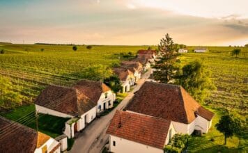 Podzim ve vinicích. Rakouský Retz nabízí největší sklepní labyrint v Evropě i kašny plné vína Sklepní ulička Zellendorf ve Weinviertelu