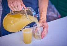 BURČÁK 2026 STARTUJE. Naplno se rozjede v půli srpna