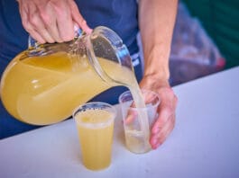 BURČÁK 2026 STARTUJE. Naplno se rozjede v půli srpna