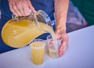 BURČÁK 2026 STARTUJE. Naplno se rozjede v půli srpna