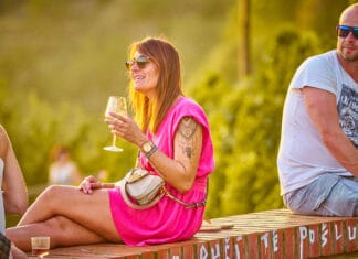 ZNOJEMSKÉ VINOBRANÍ. Letos slaví jubilejní 40. ročník