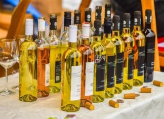 Husa a víno opět na náplavce. Kam na Martina? mladá vína na náplavce