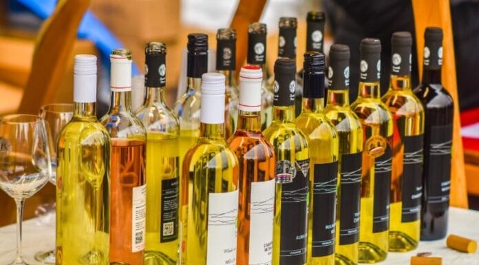 Husa a víno opět na náplavce. Kam na Martina? mladá vína na náplavce