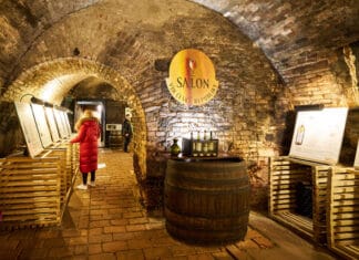 NEJLEPŠÍ VÍNA ROKU UŽ BRZY. Zlatá stovka nového ročníku Salonu vín 2024 od února