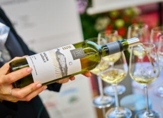 „TICHÝ ŠAMPION“. Ryzlink vlašský z Vinařství Tichý z Dolních Dunajovic kraluje novému Salonu vín Vítězný Ryzlink vlašský salon vín 2024