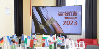 Medailová smršť 2023. Naši vinaři vloni získali na světové scéně přes 1200 medailí