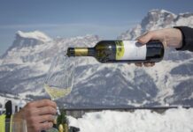 Za lyžemi a vínem levněji. Wine Safari a prodloužená sezóna v Jižním Tyrolsku Vína na sjezdovkách Alta Badie