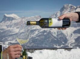 Za lyžemi a vínem levněji. Wine Safari a prodloužená sezóna v Jižním Tyrolsku Vína na sjezdovkách Alta Badie