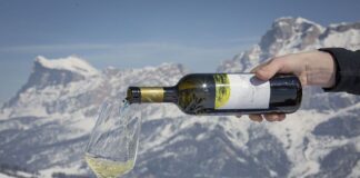Za lyžemi a vínem levněji. Wine Safari a prodloužená sezóna v Jižním Tyrolsku Vína na sjezdovkách Alta Badie