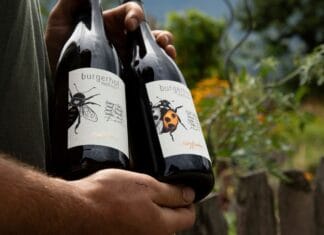 PIWI v hlavní roli aneb „Země potřebuje novou révu!“ Tak pěstují víno na Burgerhof Messner nad Brixenem lahve vína vinařtví Burgenhof