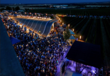 Víno a živá muzika. Snoubení, které funguje! Hudba na vinicích slaví páté narozeniny Koncerty na vinicích